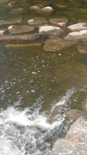 Matverkstan - Linköping