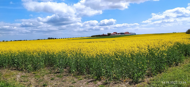 Hemdala gårdsbutik - Gastronomi och hotellverksamhet
