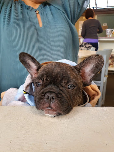 Café Blomma Open Times