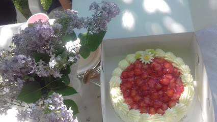 Hela Människan/Ria i Falköping