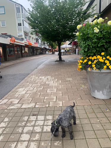 Opinii despre Glada Korven în Bollnäs - Gastronomi och hotellverksamhet