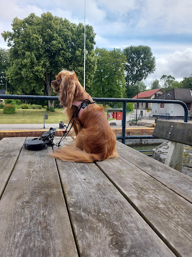 Vänersborgs Slusscafé Phone number