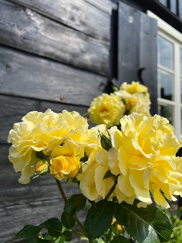 Erikstorpsvägen 216, 269 94 Båstad