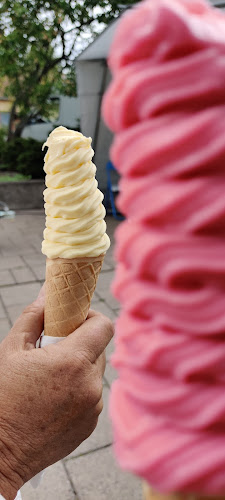 Comments and reviews of Rallarrosen