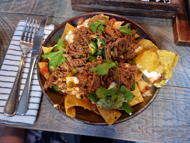 Texas Longhorn Norrtull