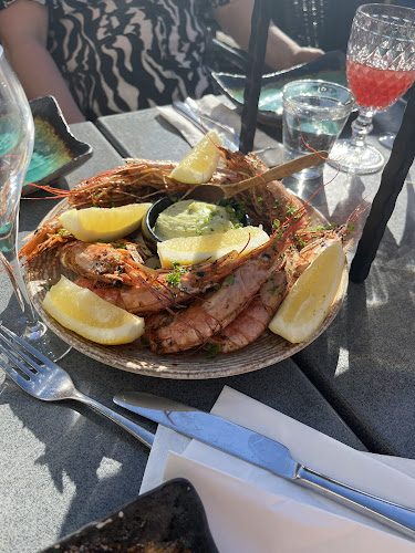 Comentarii opinii despre Bra Mat