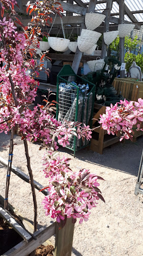 Blomstrande hem - Gastronomi och hotellverksamhet
