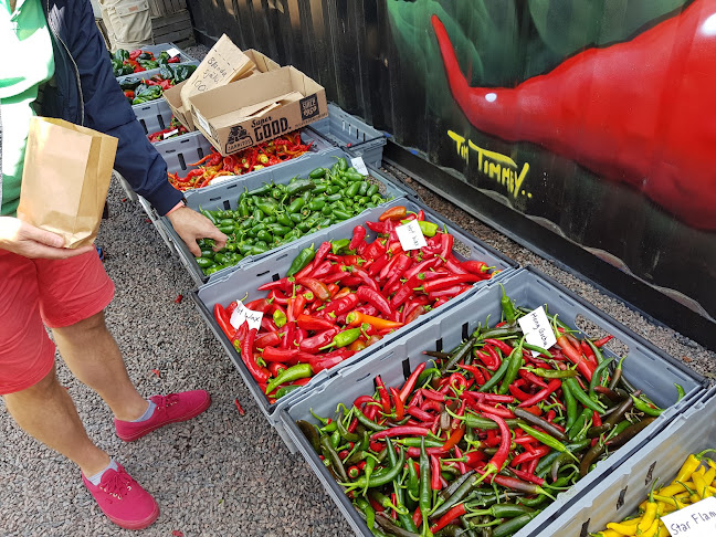 Krapperups kyrkoväg 116, 263 76 Nyhamnsläge