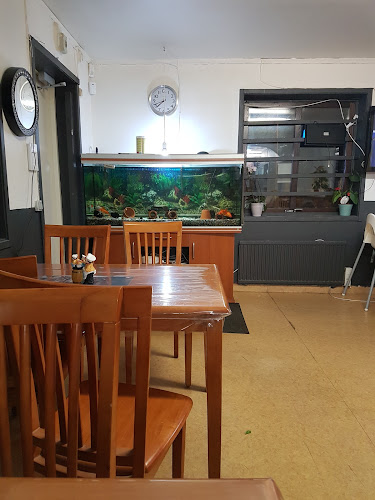 Reviews of Pizza KING in Mjölby - Gastronomi och hotellverksamhet