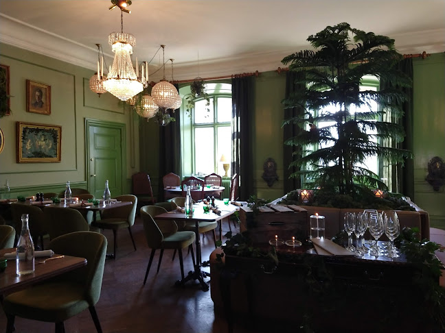 Comentarii opinii despre Råkoko