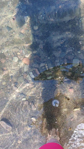 Östra Storgatan 173, 554 52 Jönköping