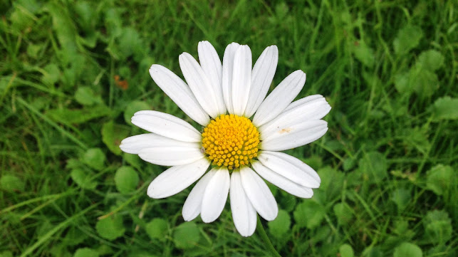 Nedergårdens Vilt & Natur - Sysslebäck