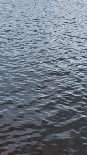 Aqua Restaurang & Bar - Hedåskiosken - Sandviken