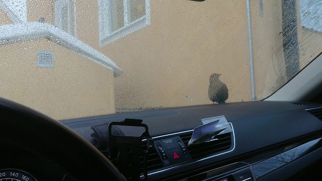 Comentarii opinii despre Konditori Fågelsången