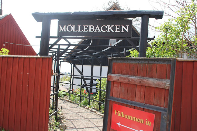 Möllebacken Restaurang & Café - Gastronomi och hotellverksamhet
