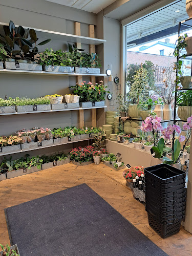 Opinii despre Bellas Blommor în Skövde - Gastronomi och hotellverksamhet