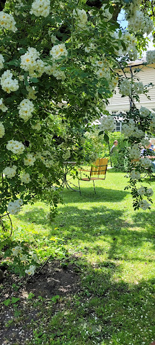 Comments and reviews of Lilla Caféet LUND