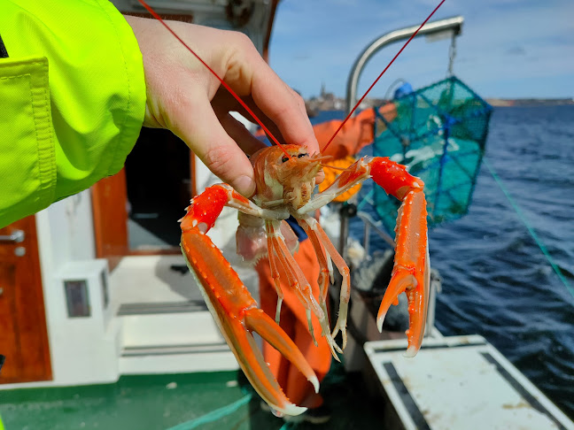 Opinii despre Captains Corner în Lysekil - Gastronomi och hotellverksamhet