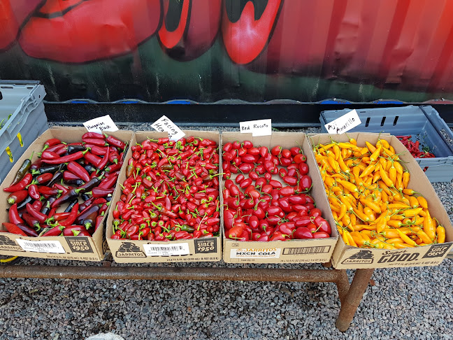 Comments and reviews of Holy Smoke BBQ