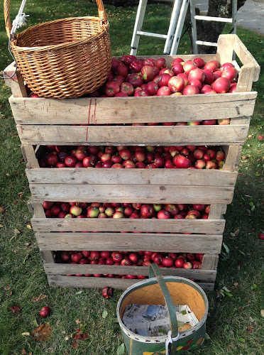 Opinii despre Granum Musteri în Uppsala - Gastronomi och hotellverksamhet