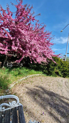 Opinii despre Glassbar în Simlångsdalen - Gastronomi och hotellverksamhet