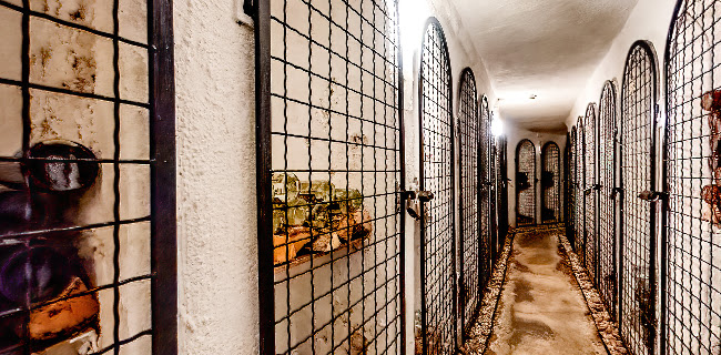 Firavin Kök & Cocktail Bar - Gastronomi och hotellverksamhet