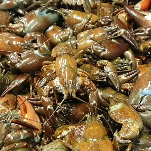 Råröd 133, 241 75 Stehag