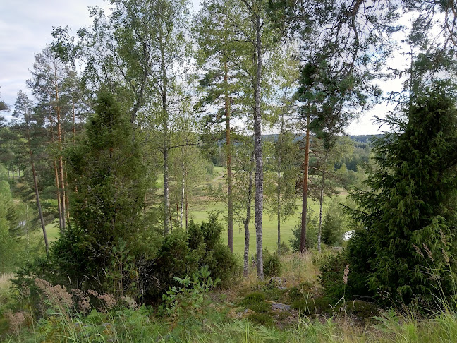 Årjängs Golfkrog Phone number