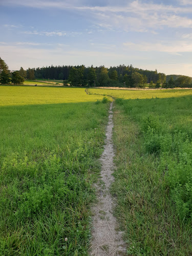 Husby Gård - Gastronomi och hotellverksamhet