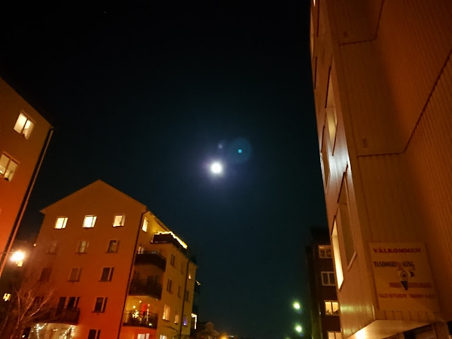 Tandoori King - Gastronomi och hotellverksamhet