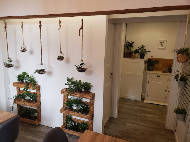 Eva's Brunch Phone number