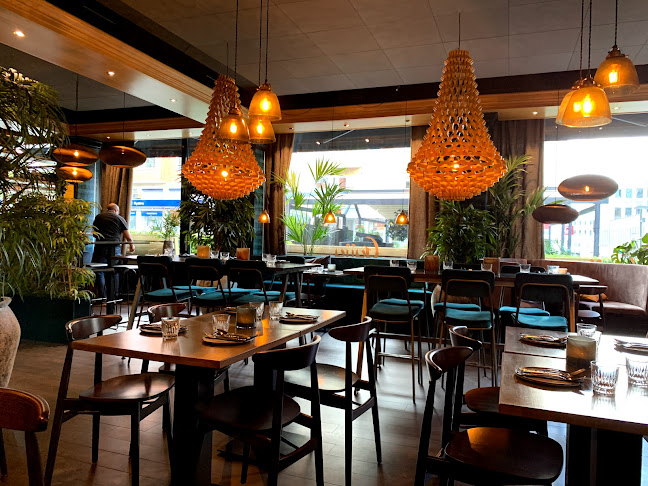 Comentarii opinii despre Gujju