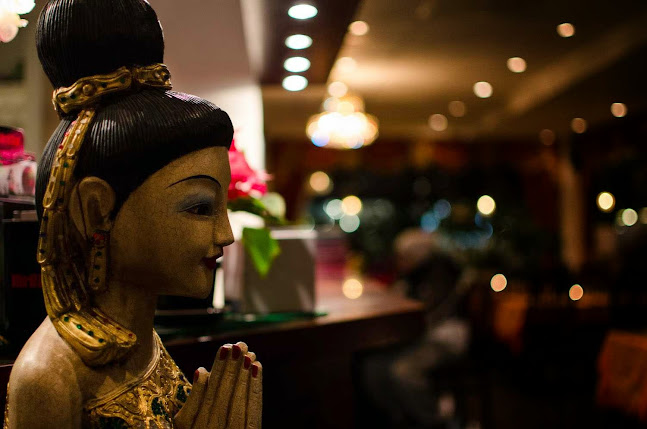 Comments and reviews of Thai Amari