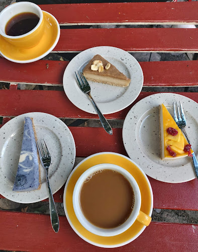 Comentarii opinii despre Oas