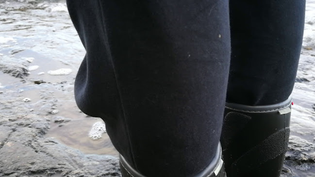 Comentarii opinii despre Abborrebergs Veranda