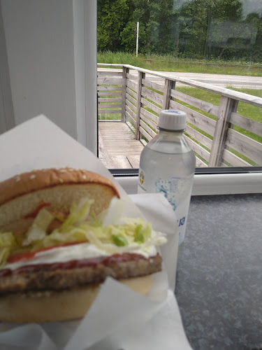 Comentarii opinii despre Korvan