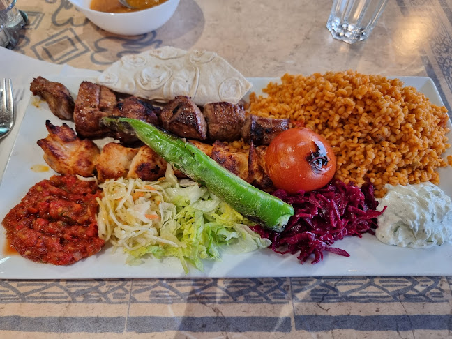 Memozin Kolgrill - Gastronomi och hotellverksamhet