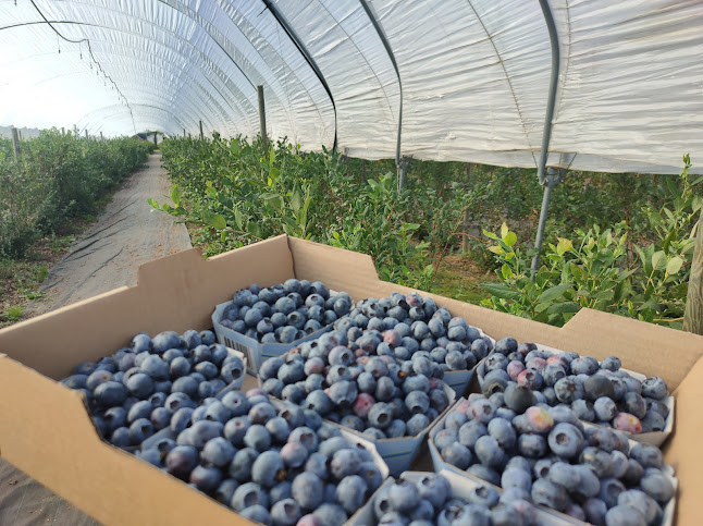 Eriksgården - restaurang och gårdsbutik - Sjöbo