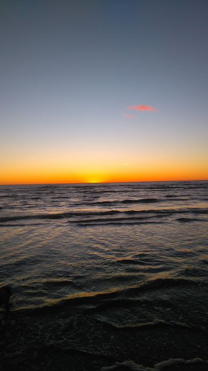 Ringsegården Konst & Café