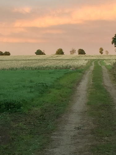 Grevlunda Bär o Vingård - Gastronomi och hotellverksamhet