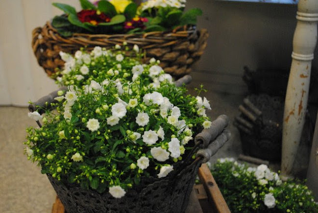 Comments and reviews of Äppelmynta