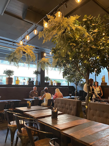 Stadskällaren Brewpub - Gastronomi och hotellverksamhet