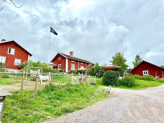 Stora Lunån Gårdscafé - Gastronomi och hotellverksamhet