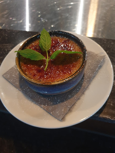 Comentarii opinii despre Black Bird