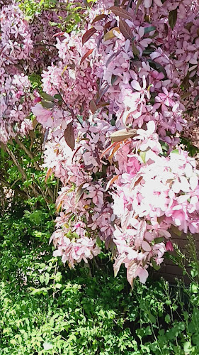 Hallsta Restaurang & Sportbar - Hallstahammar