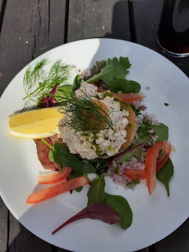 M/S Freja Open Times