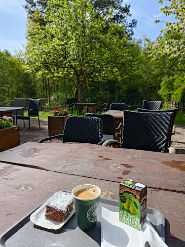 Kaffestugan Lyckan - Gastronomi och hotellverksamhet