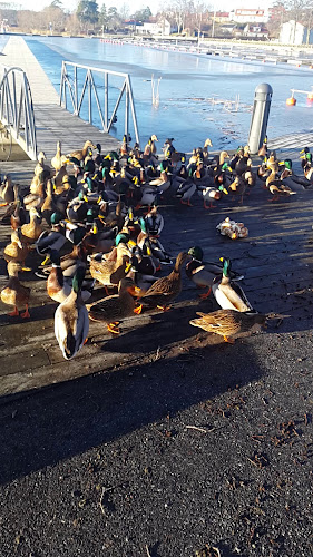 Opinii despre Restaurang Kopparkitteln în Sigtuna - Gastronomi och hotellverksamhet