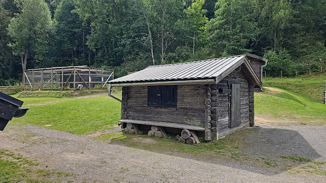 Fäboden i Säterdalen - Säter
