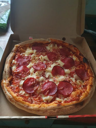 Pallani pizza - Gastronomi och hotellverksamhet